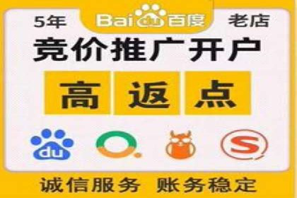 某电商平台的SEM优化全流程案例分享